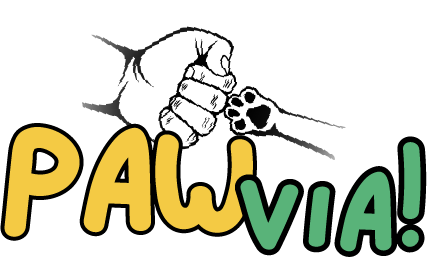 Your Store