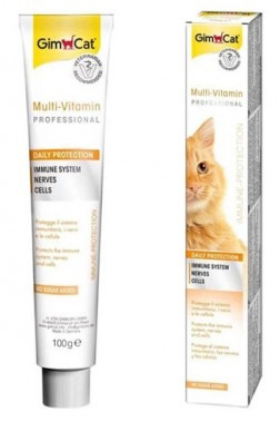 Gimcat Multi Vitamin Paste 12 Vitaminli Kedi Malt Macunu 100 Gr